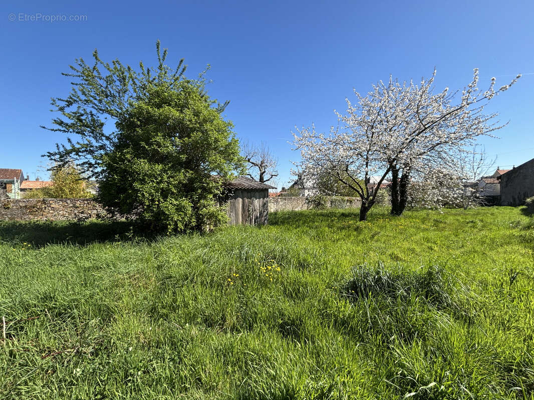Terrain à LE PELLERIN