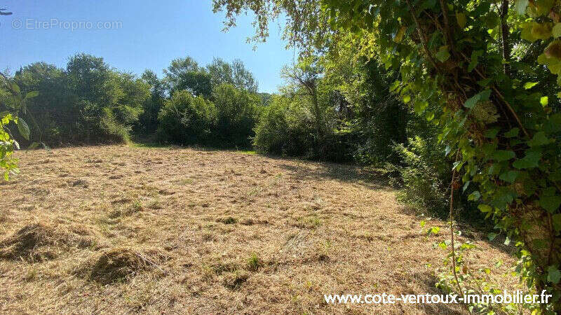 Terrain constructible viabilisé - 765 m² - photo 3