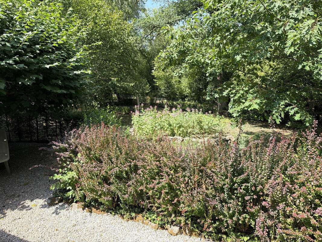 Pavillon indépendant au bord d'un ruisseau, niché dans un cadre boisé paisible - photo 10