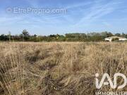 Photo 1 - Terrain à CASTELSARRASIN