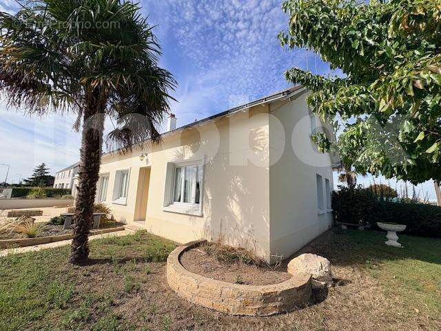 IMG_2189 - Maison à SAINT-GEREON