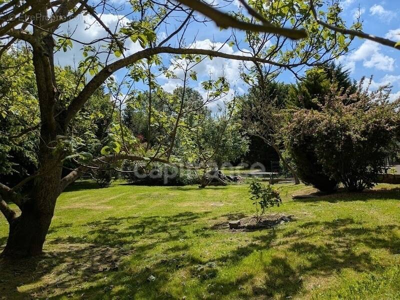 Maison familiale de 115 m² – 4 chambres – Sous-sol complet – Terrain arboré de 3 357 m² – Secteur AUMALE (76) - photo 1
