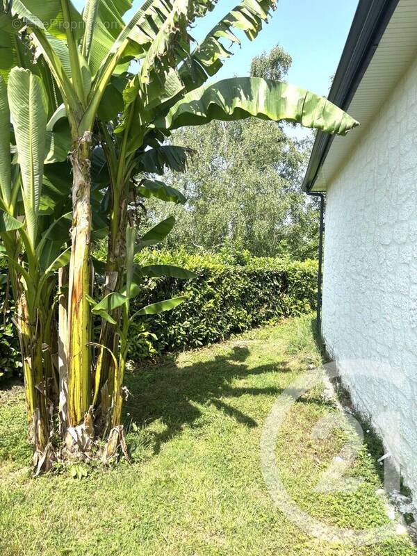 Maison à CAMPAGNE-SUR-ARIZE