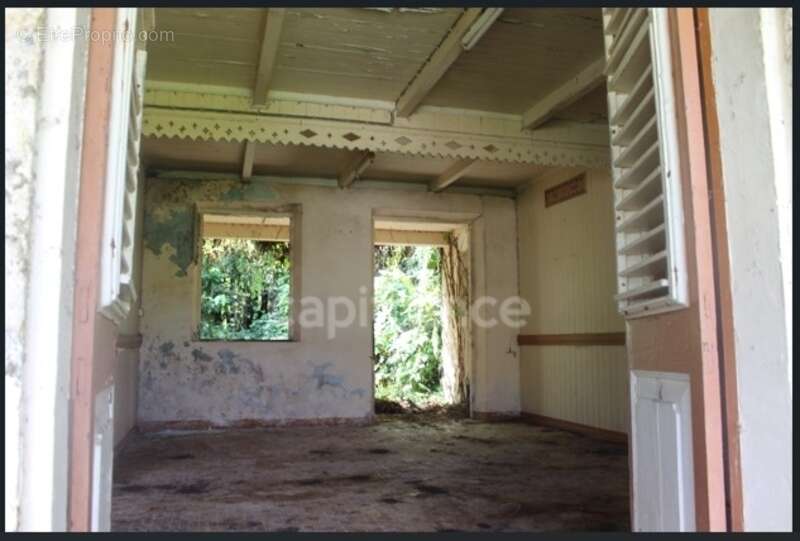 À Vendre – Grand terrain à bâtir de 6 130 m² à Ajoupa-Bouillon (Martinique) - photo 5
