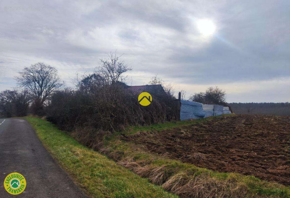 Terrain à MENETOU-COUTURE