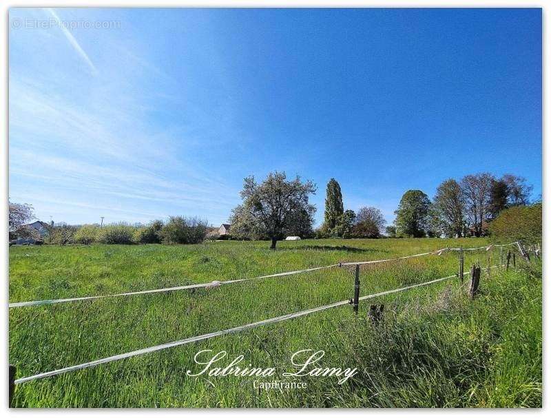 Terrain à SUIZY-LE-FRANC