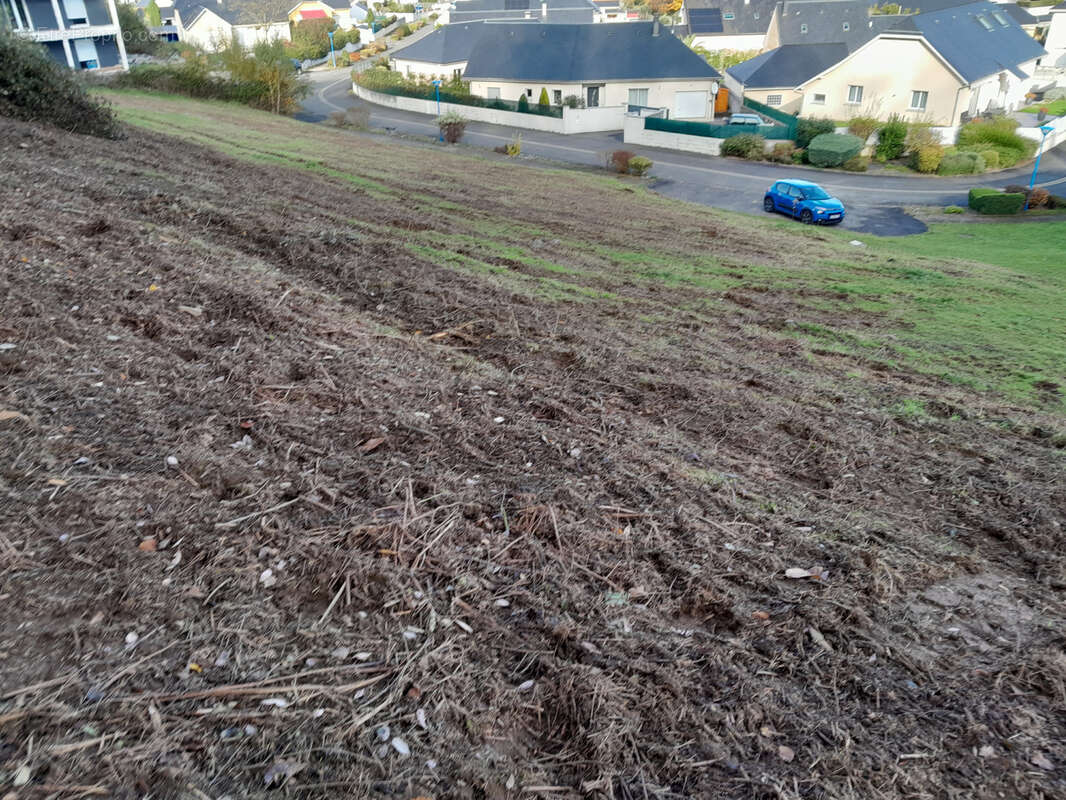 Terrain à POUEYFERRE