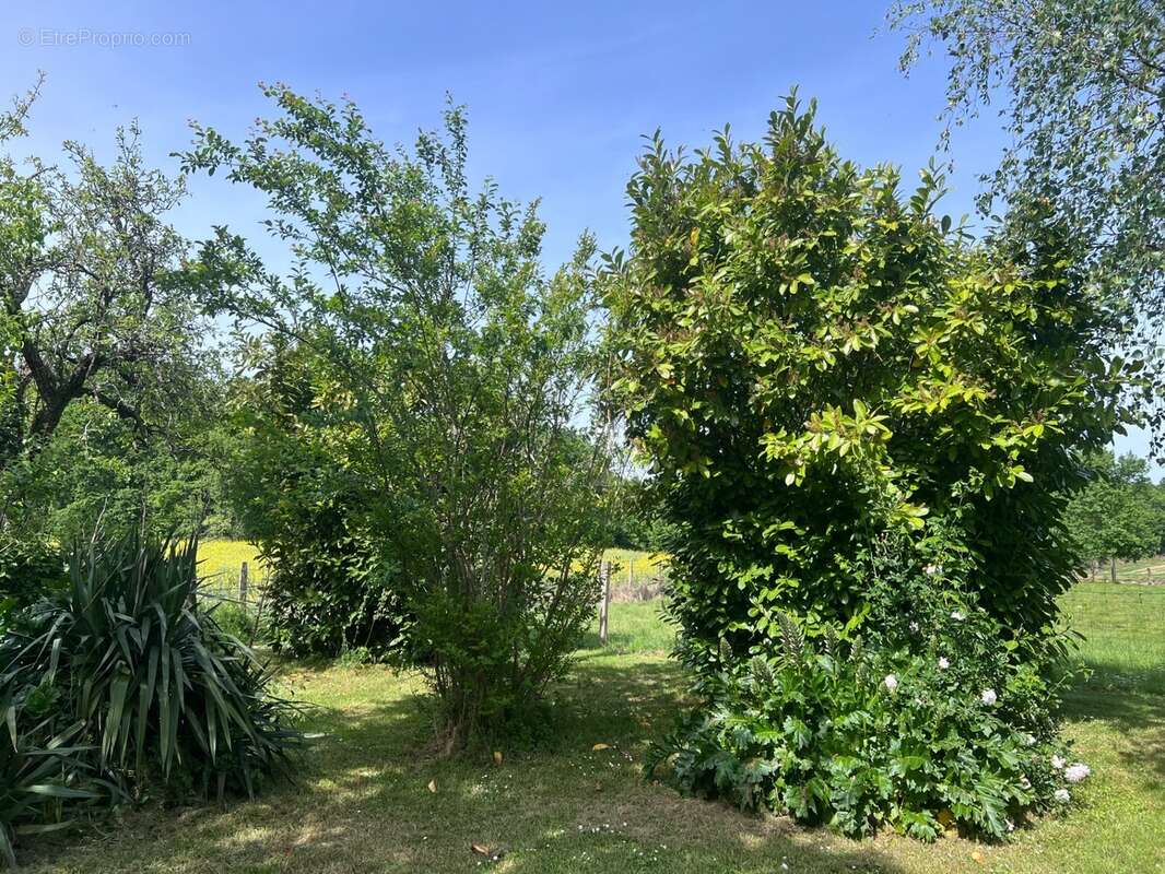 Maison à vendre 5 pièces VARZAY (17) avec piscine - photo 22