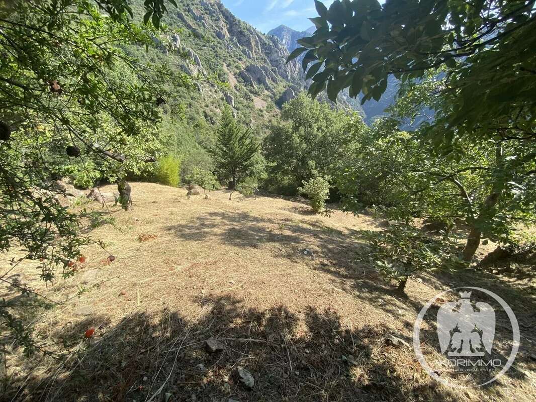 Grange en pierre 2 pièces à Bonson, 45 m², vue nature - photo 4