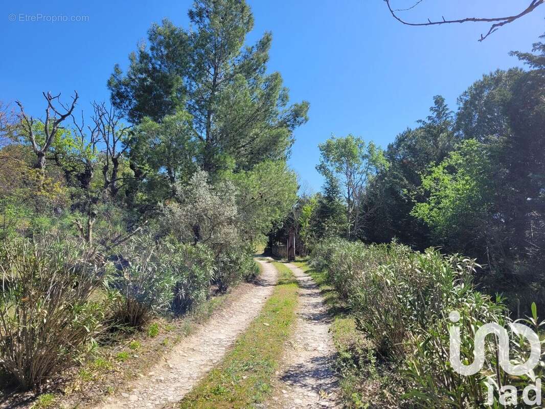 Photo 6 - Maison à L&#039;ISLE-SUR-LA-SORGUE