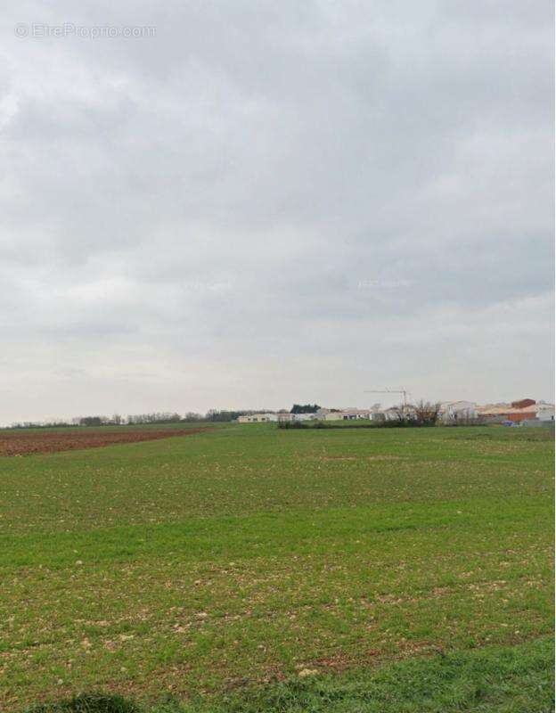 Terrain à DOMPIERRE-SUR-MER