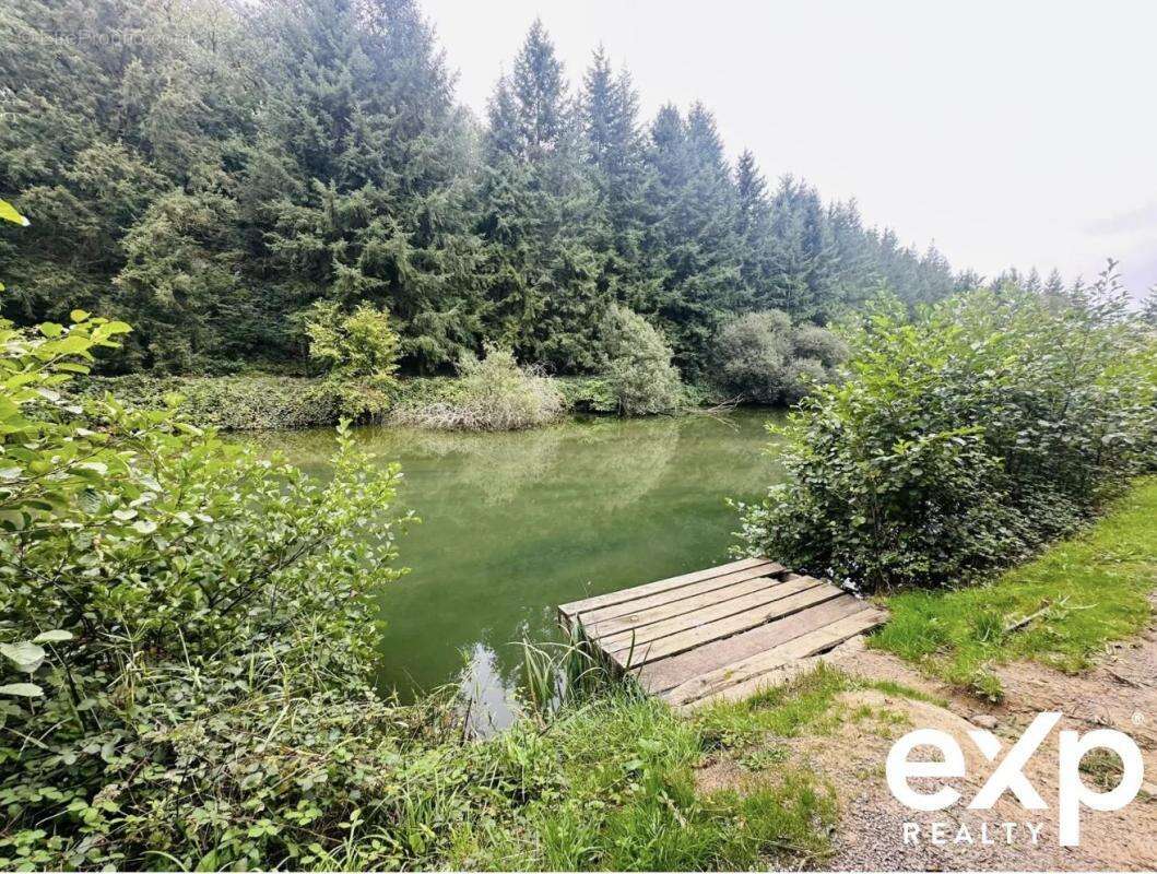 Maison à SENS-DE-BRETAGNE