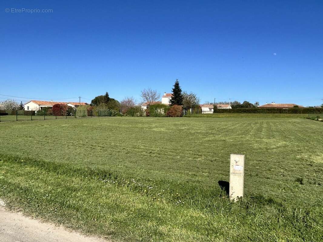 Terrain à SAINT-ADJUTORY