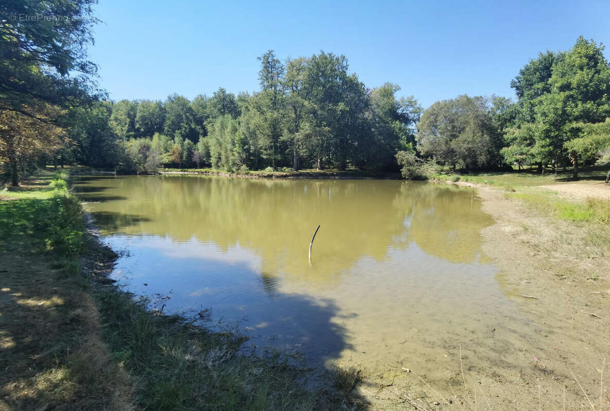 Etang - Commerce à JUMILHAC-LE-GRAND