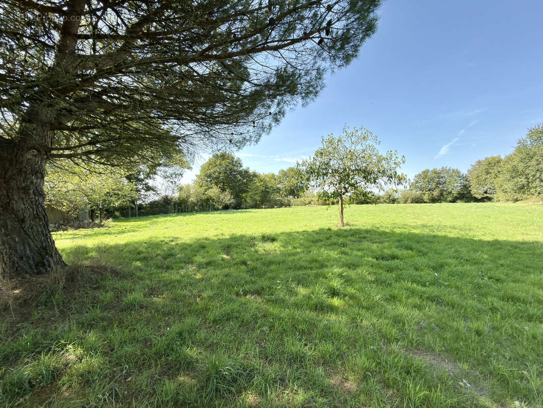 Maison à LES LUCS-SUR-BOULOGNE