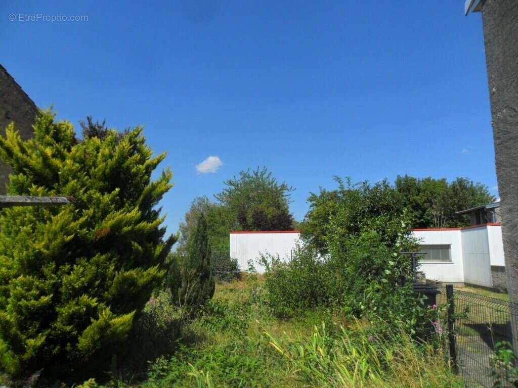 Commerce 790 m² à Colombey-Les-Belles  - photo 8