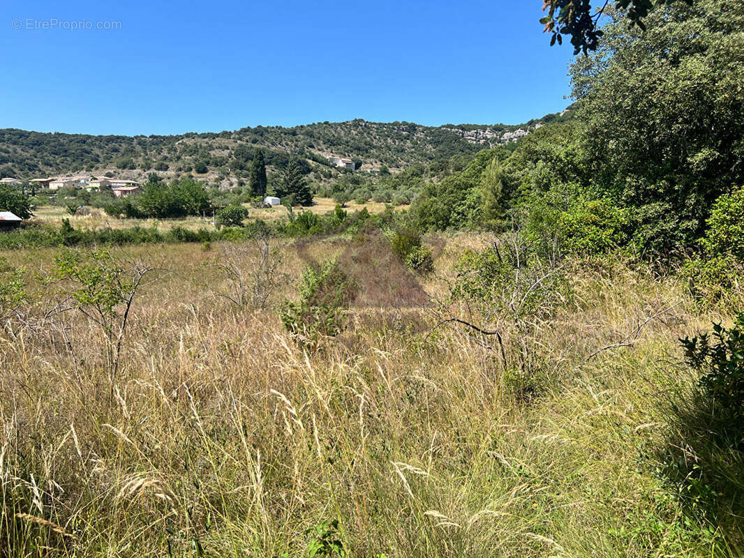 Terrain à SAINT-BRES