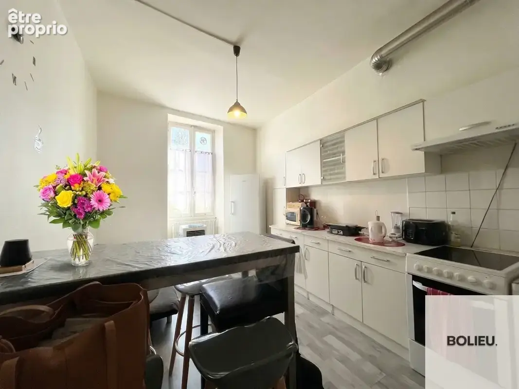 A vendre t2 calme et lumineux - centre ville de chambery - photo 8