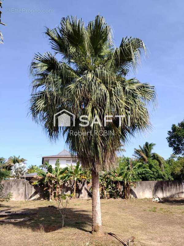 Photo 2 - Maison à MATOURY