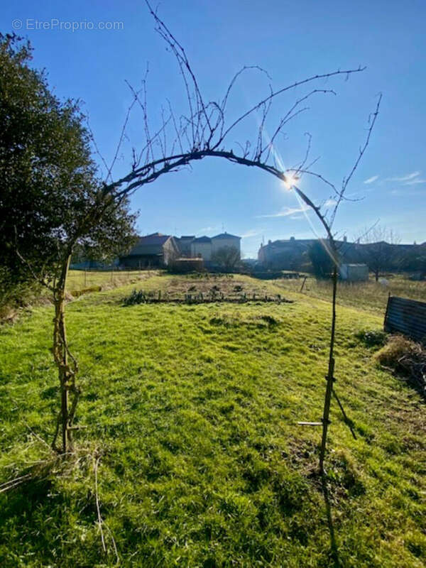 Terrain à VIRECOURT