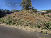 Terrain à SAINT-LEU