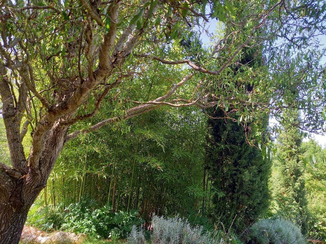 arborés - Maison à ARCAMBAL