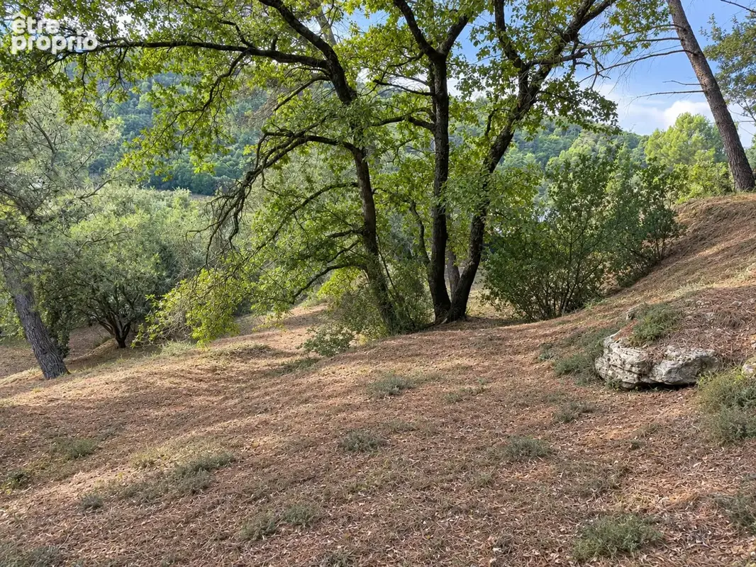 Terrain rare à Ménerbes - photo 2