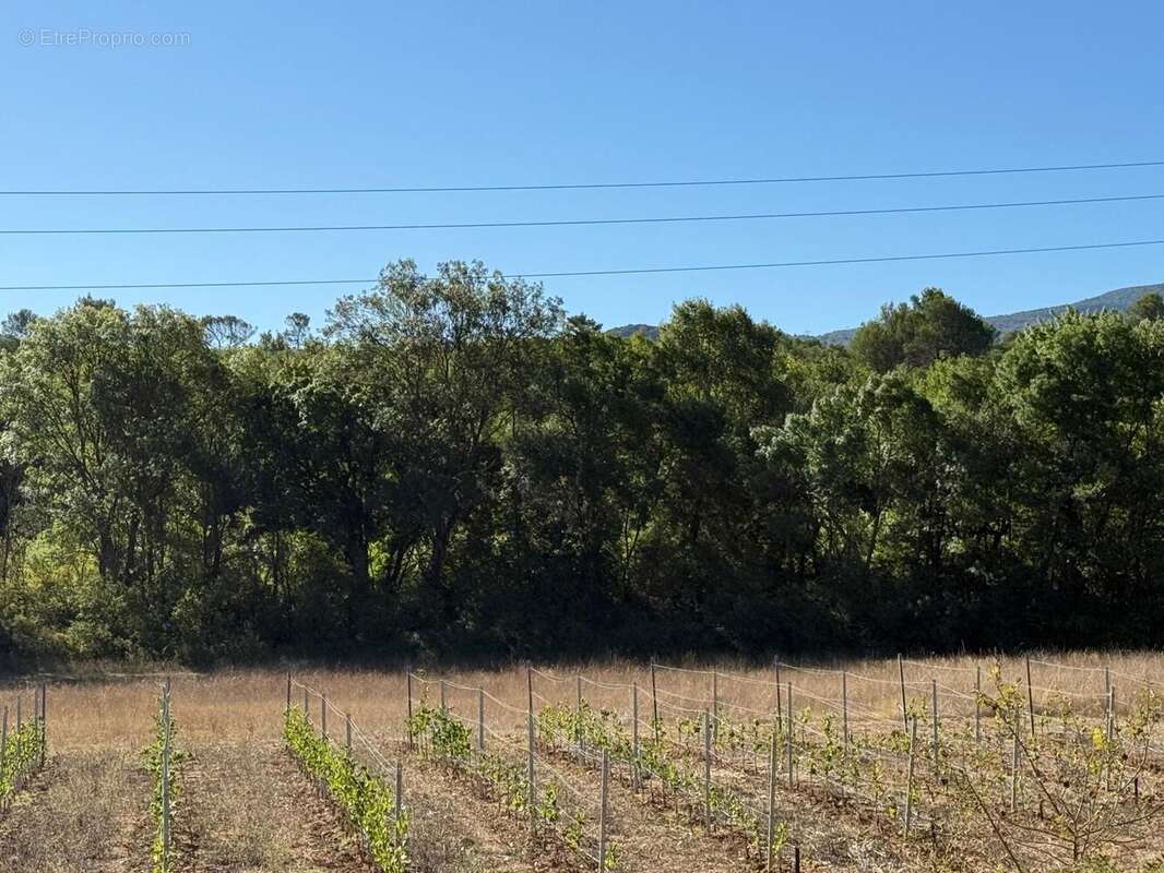 Photo 2 - Terrain à NANS-LES-PINS