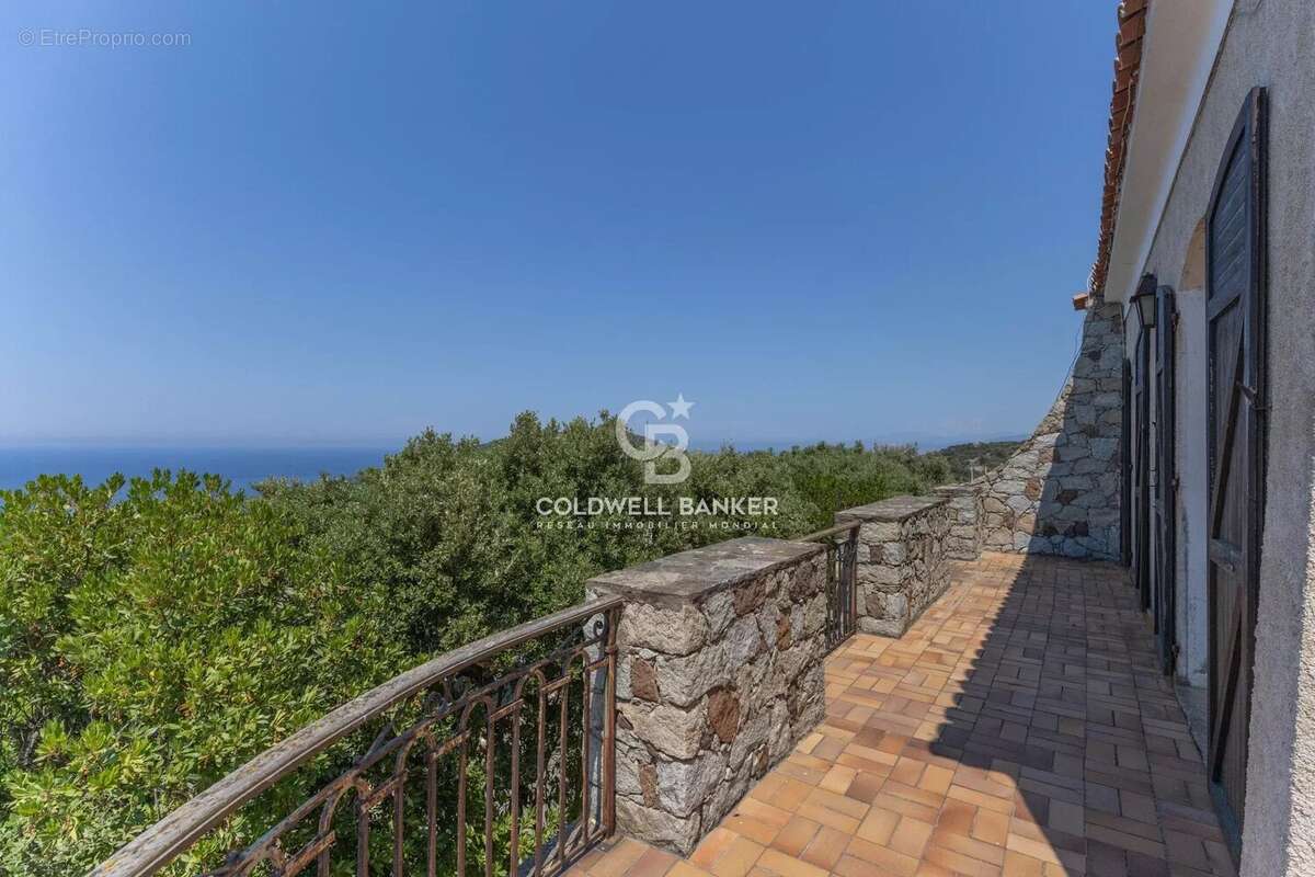 Corbara - Maison de caractère vue mer - Jardin & garage - photo 13