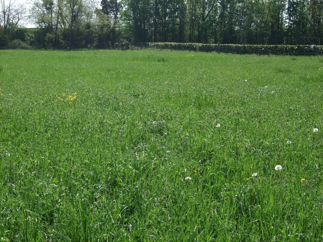 Terrain à MONTPENSIER