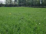 Terrain à MONTPENSIER