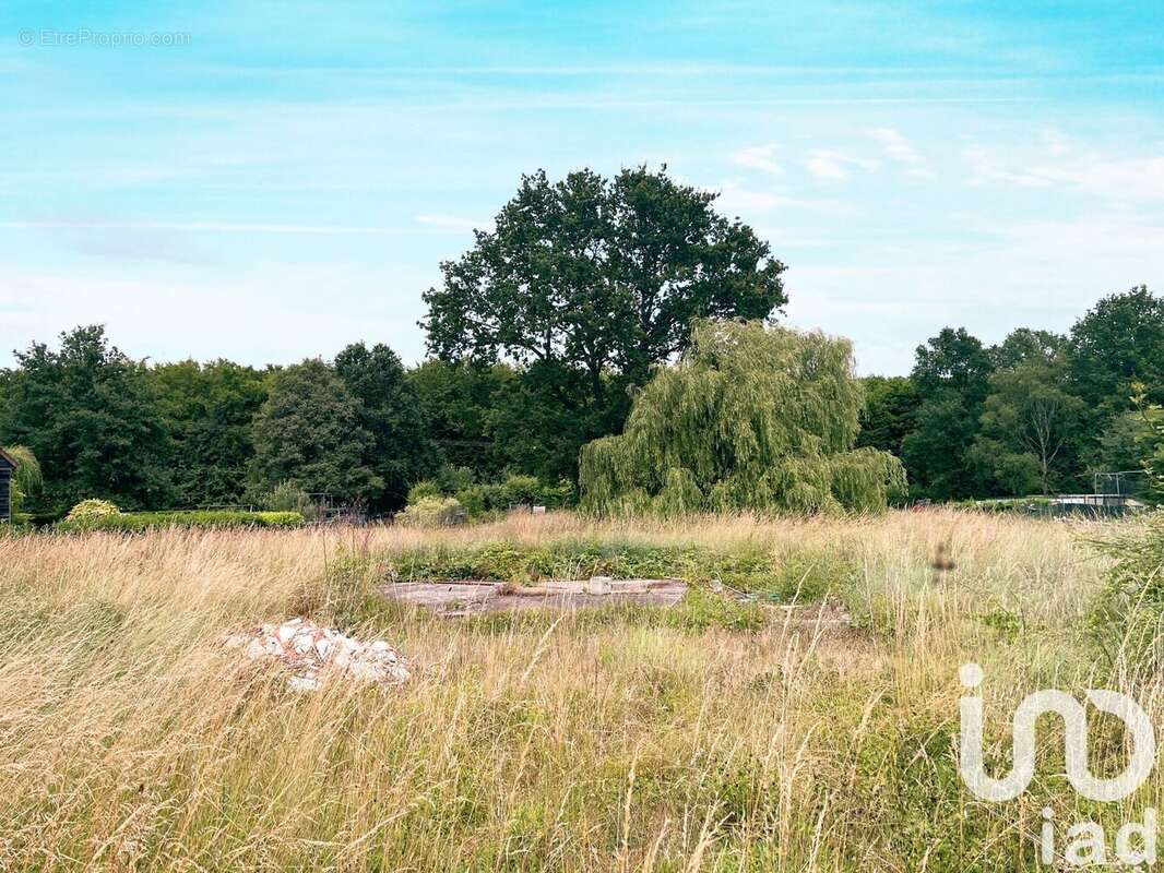 Photo 2 - Terrain à NOGENT-SUR-VERNISSON