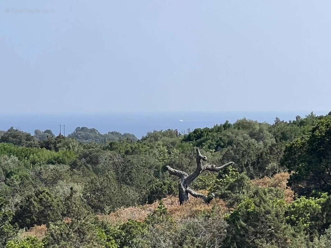 Maison à PORTO-VECCHIO