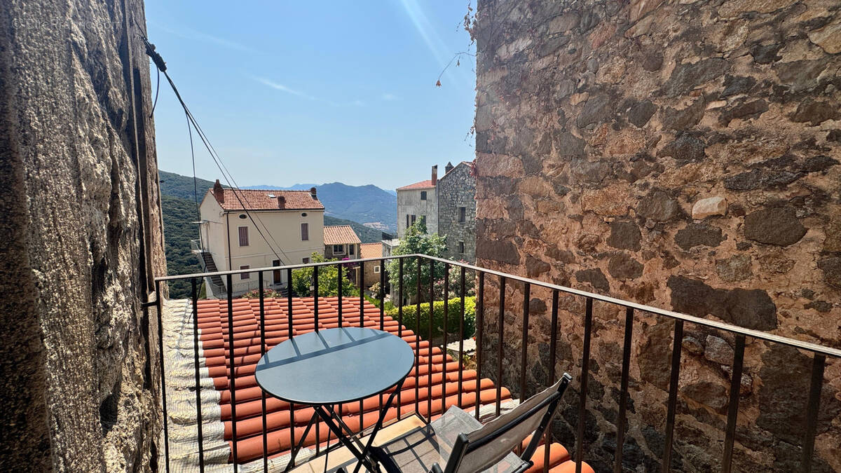 Appartement à OLMETO