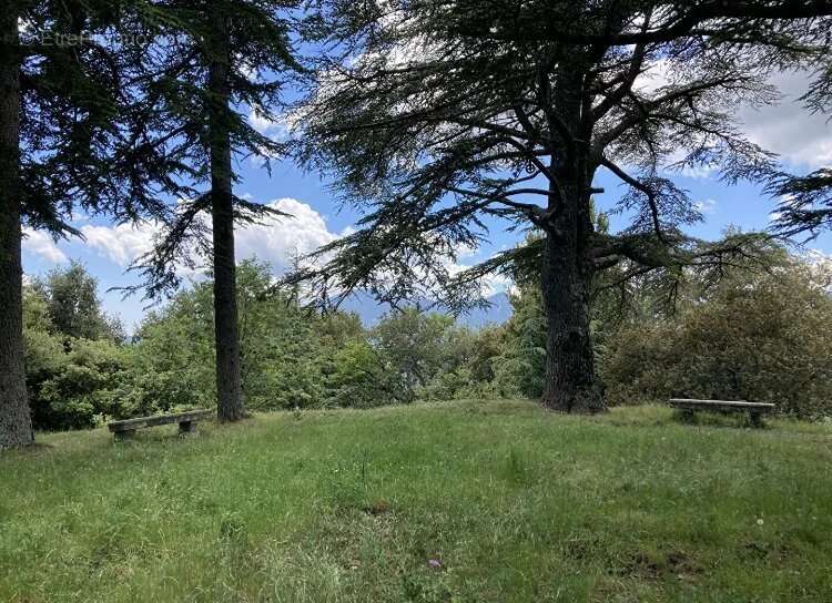 Maison à SANTO-PIETRO-DI-VENACO