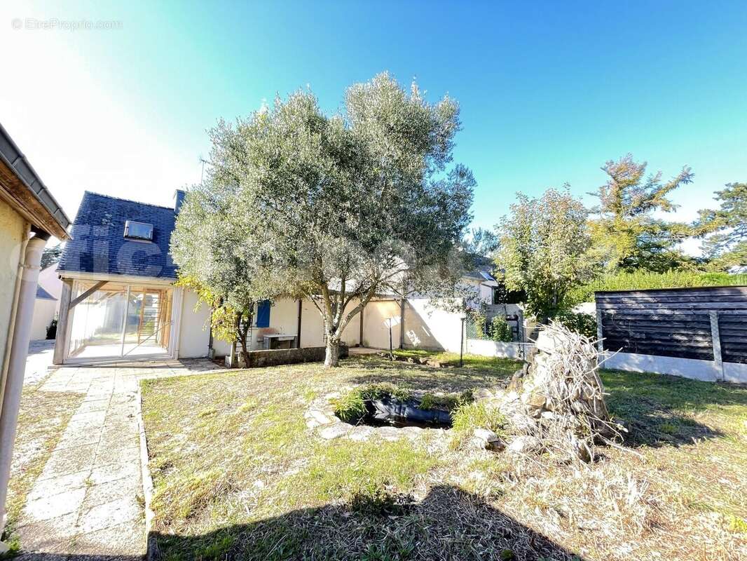 IMG_3995 - Maison à ARZON