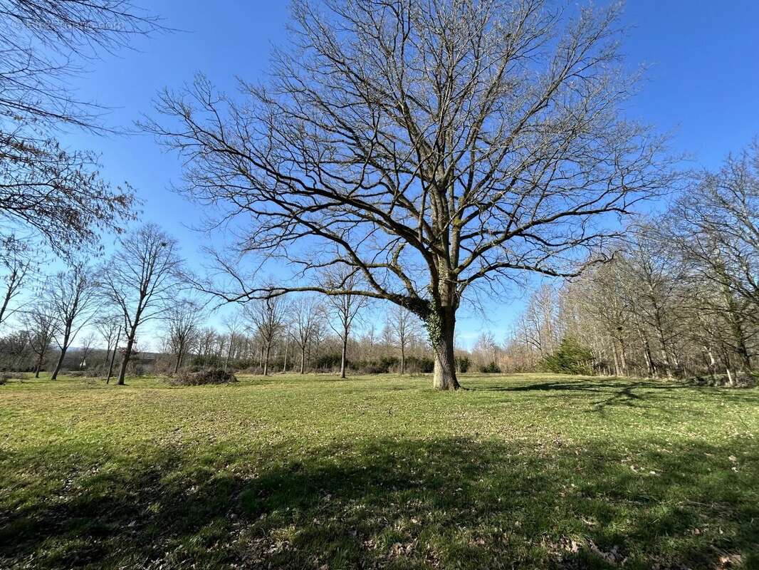 Maison à MORTAGNE-AU-PERCHE