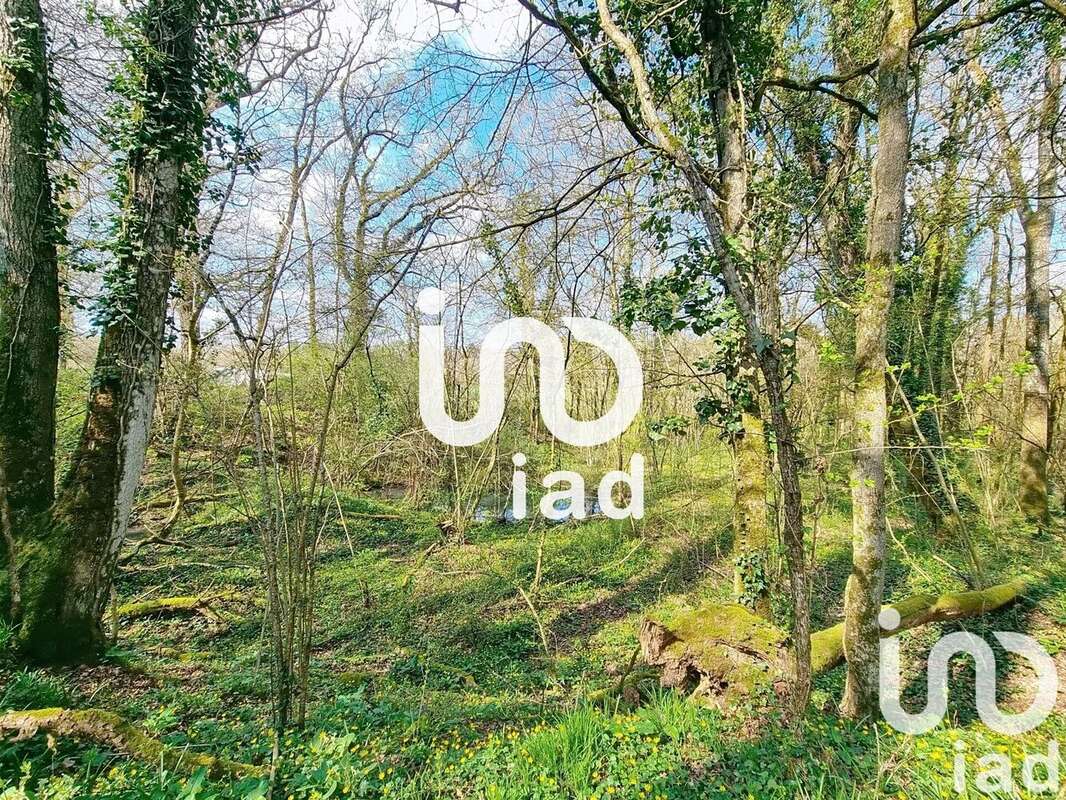 Photo 3 - Maison à VOULON