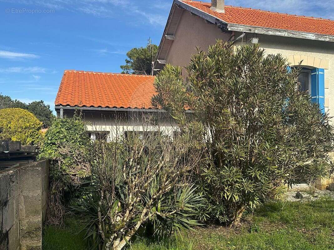 Maison à MESCHERS-SUR-GIRONDE