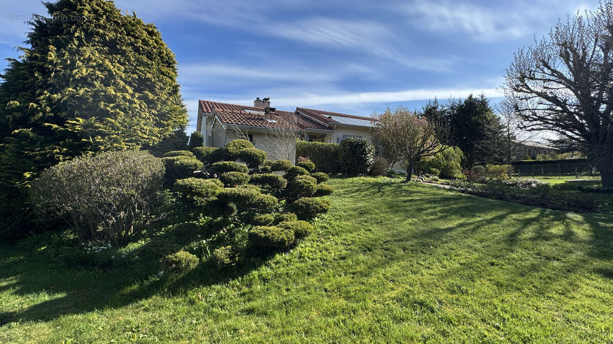 Maison à PLANFOY
