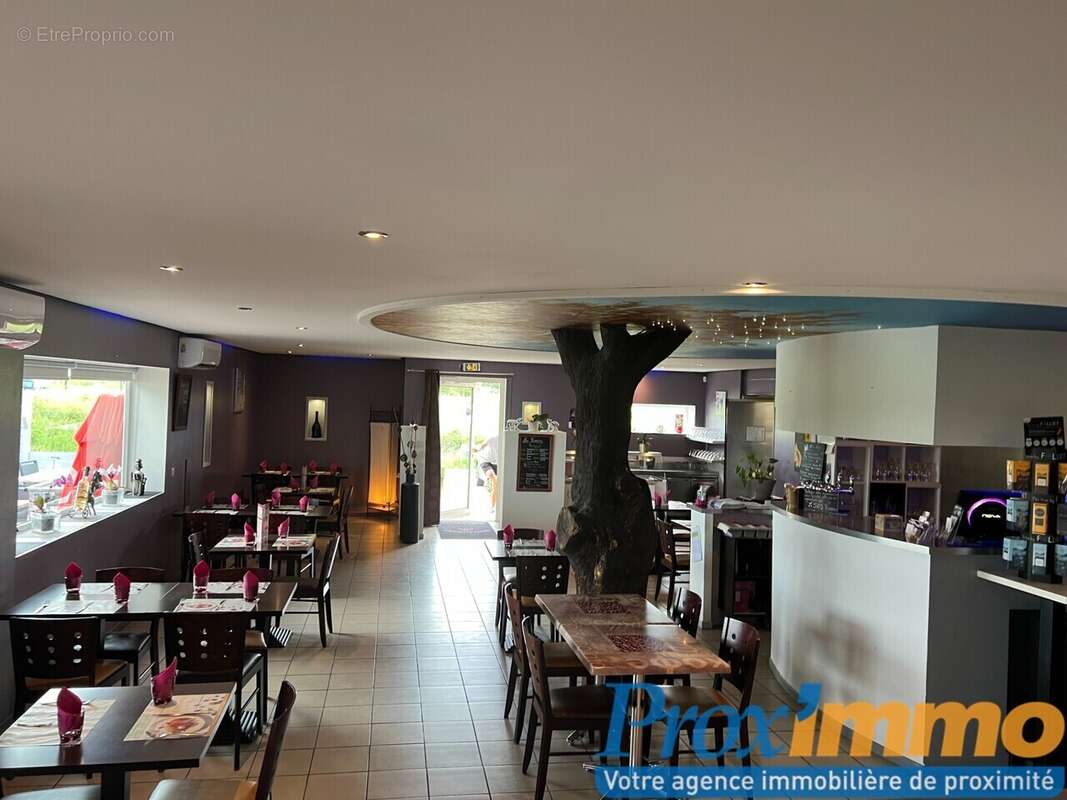 Commerce à SAINT-ETIENNE-DE-SAINT-GEOIRS