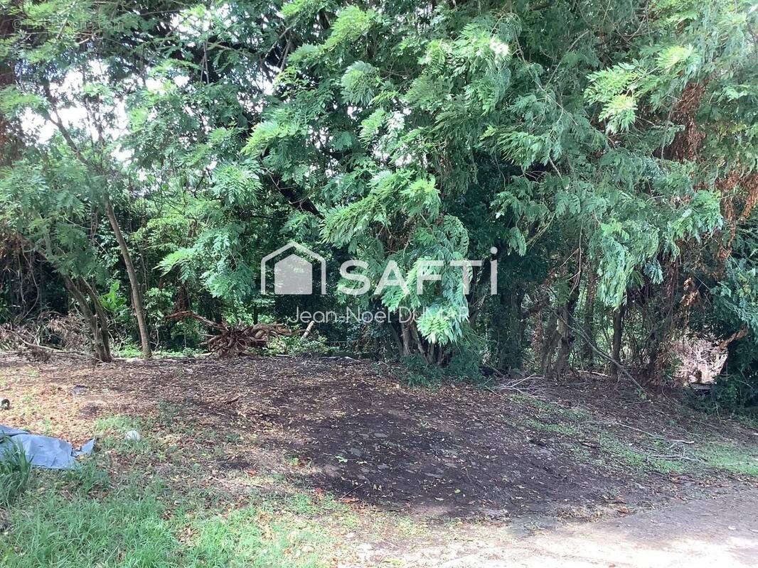 Photo 1 - Terrain à LE LAMENTIN