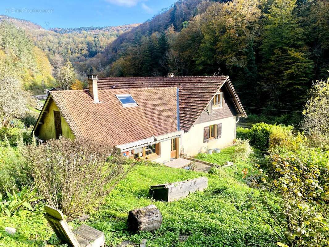 Photo 6 - Maison à SAINT-HIPPOLYTE