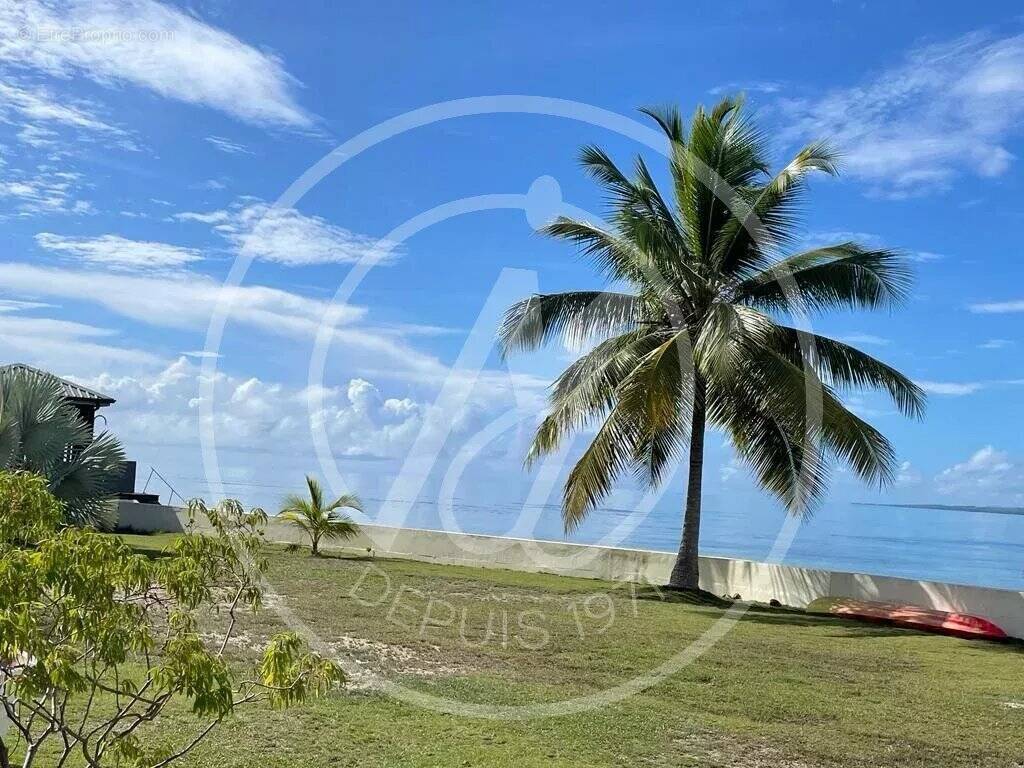 Maison à POINTE-A-PITRE