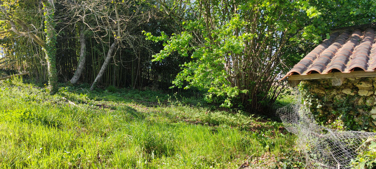Autre à SAINT-LEON-SUR-L'ISLE