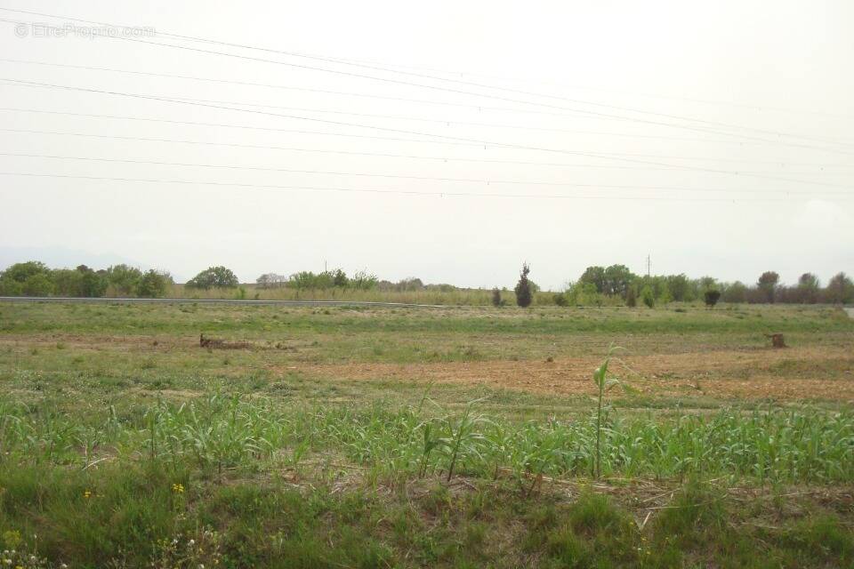 Terrain à PERPIGNAN