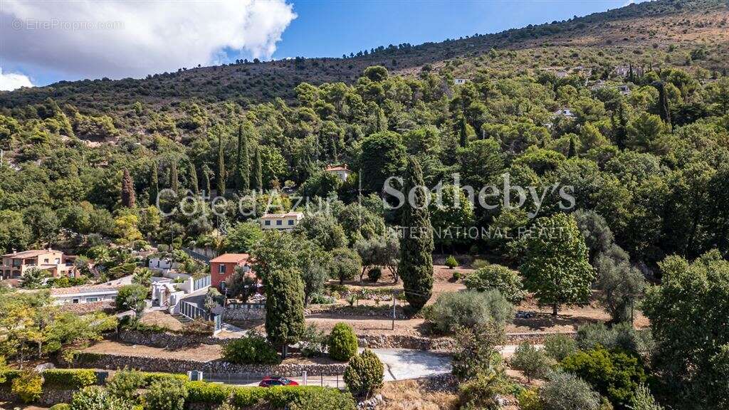 Terrain à ASPREMONT