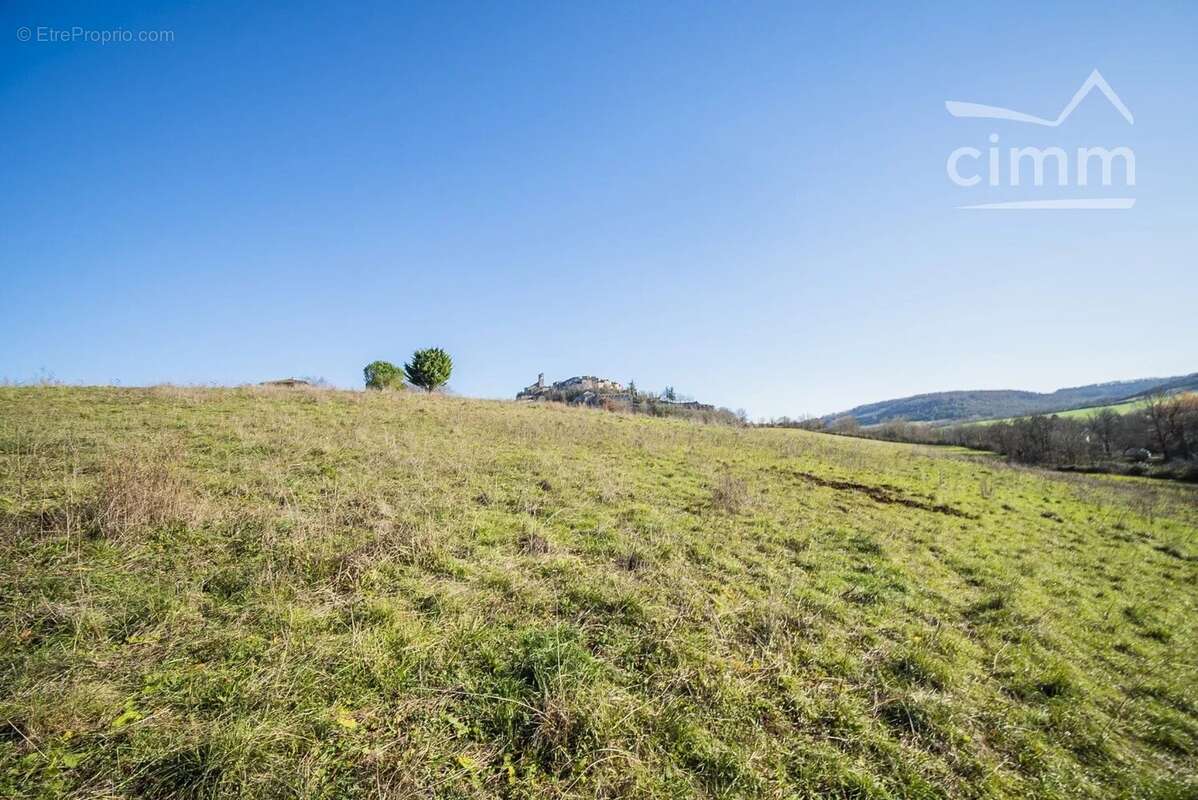 Terrain à CORDES-SUR-CIEL