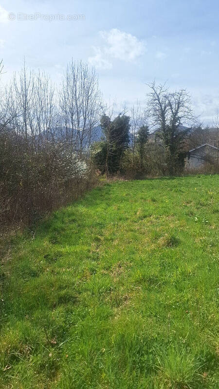 Terrain à VAULNAVEYS-LE-HAUT