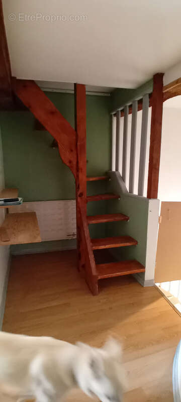 Maison à SAINT-PAUL-CAP-DE-JOUX